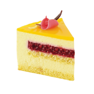 Mango Raspberry Mousse Cake Entremet